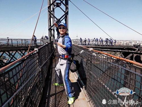 bridge表情包,Bridge表情包带你领略网络幽默的魅力